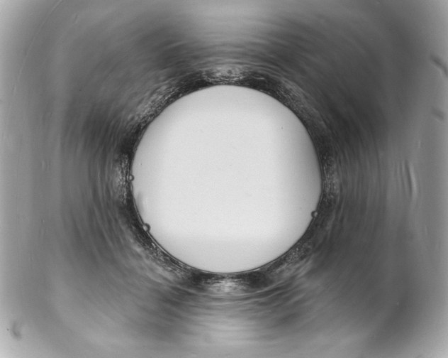 X0000102230460200808151734