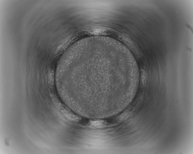 X0000102230461200808151734