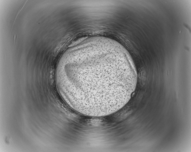 X0000102230462200808151734