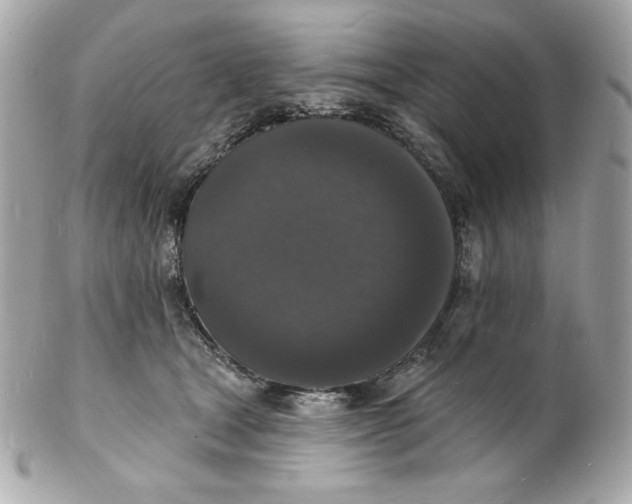 X0000102230465200808151734