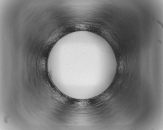 X0000102230466200808151734