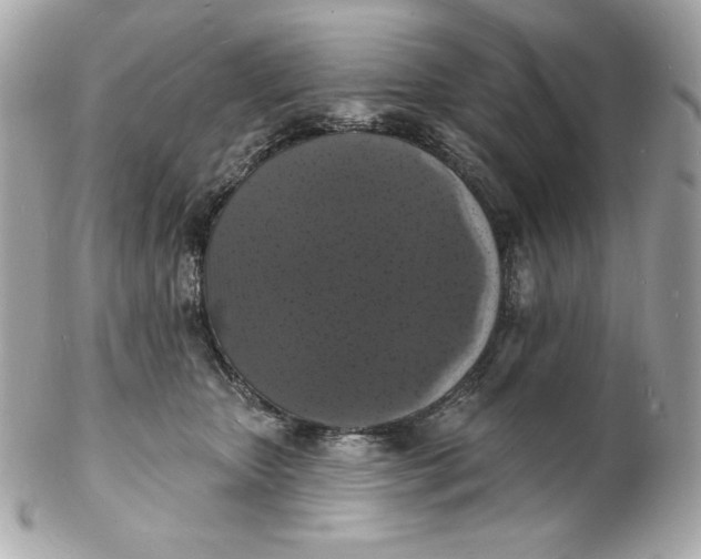 X0000102230467200808151734