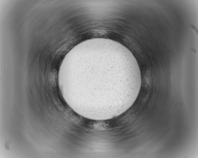 X0000102230468200808151734