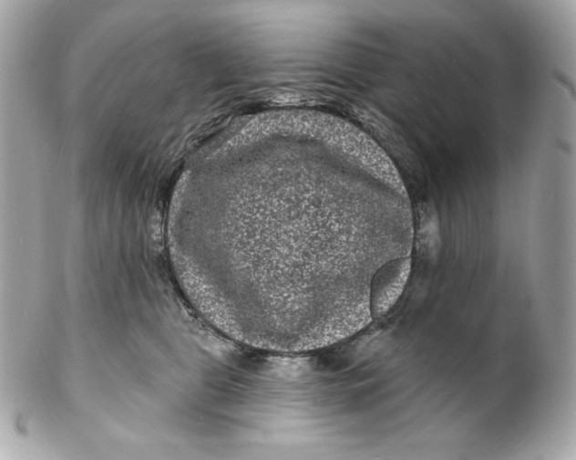 X0000102230469200808151734