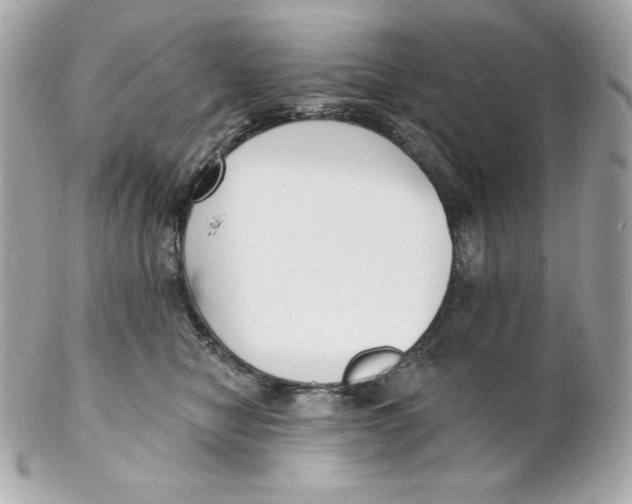 X0000102230470200808151734