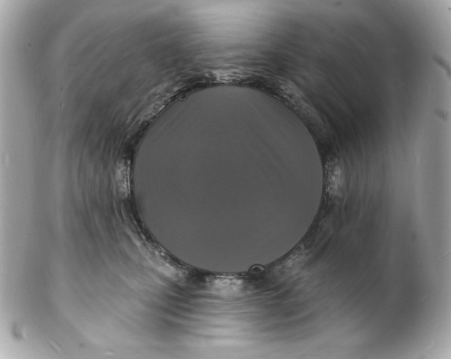 X0000102230471200808151734