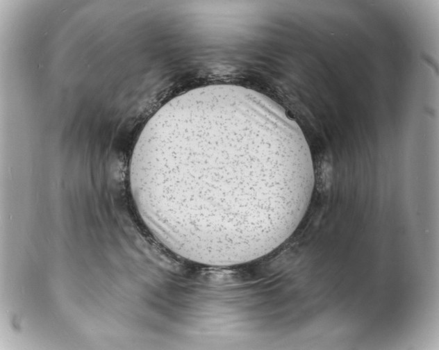 X0000102230472200808151734