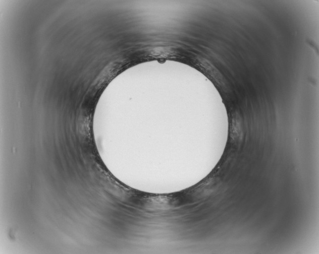 X0000102230473200808151734