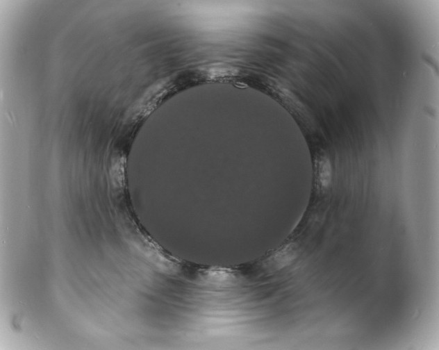 X0000102230475200808151734
