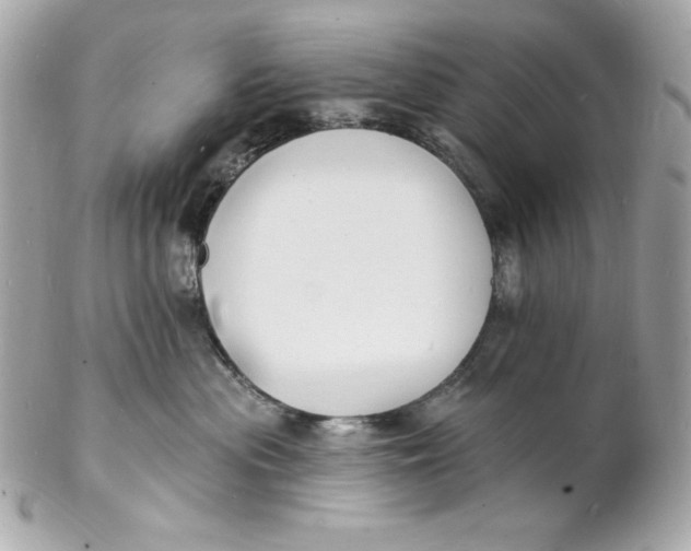 X0000102230477200808151734