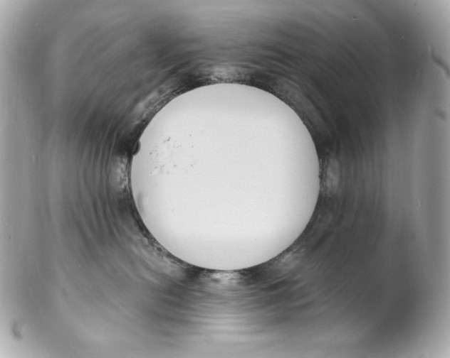 X0000102230478200808151734
