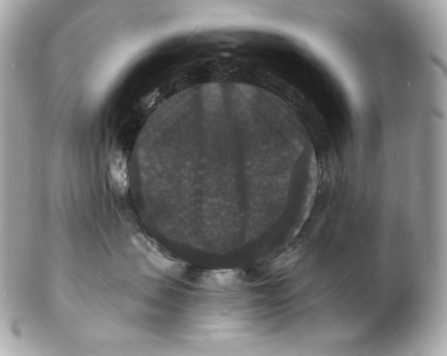 X0000102230479200808151734