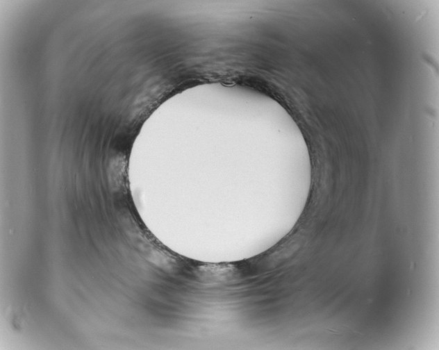 X0000102230480200808151734