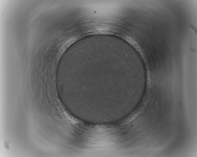 X0000102230481200808151733