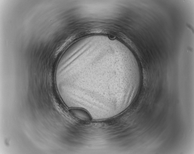 X0000102230482200808151733