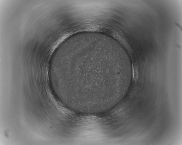 X0000102230483200808151733