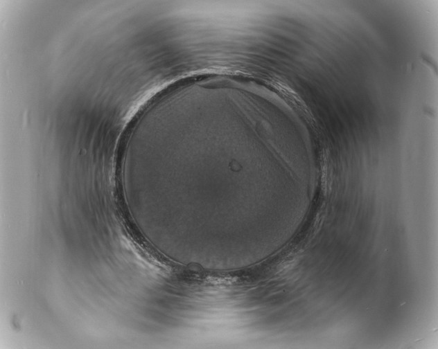 X0000102230484200808151733