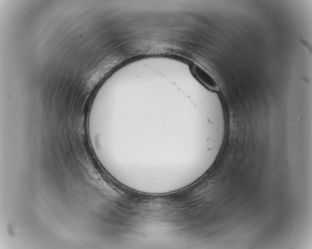 X0000102230485200808151733