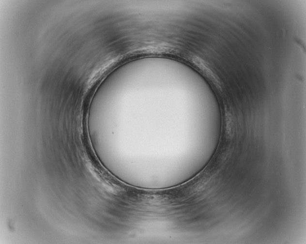 X0000102230486200808151733