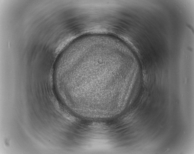 X0000102230487200808151733