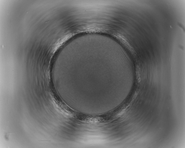 X0000102230488200808151733