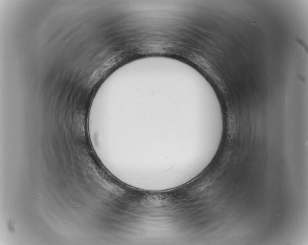 X0000102230489200808151733