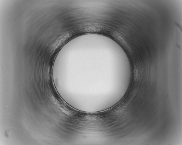 X0000102230490200808151733