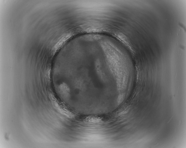 X0000102230491200808151733