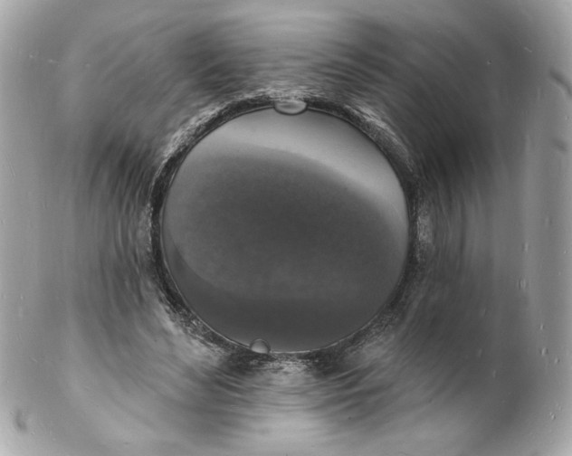 X0000102230492200808151733