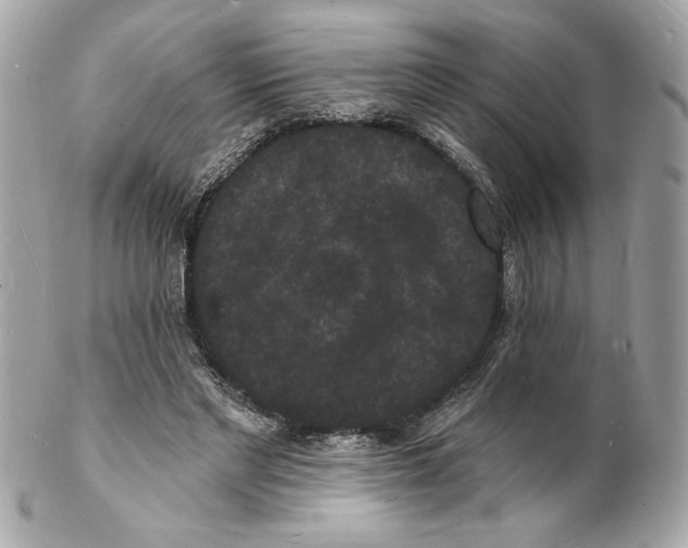 X0000102230493200808151733