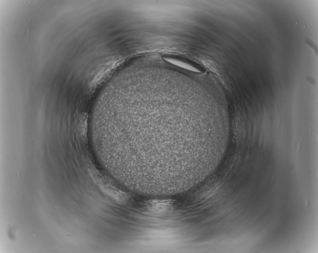 X0000102230495200808151733