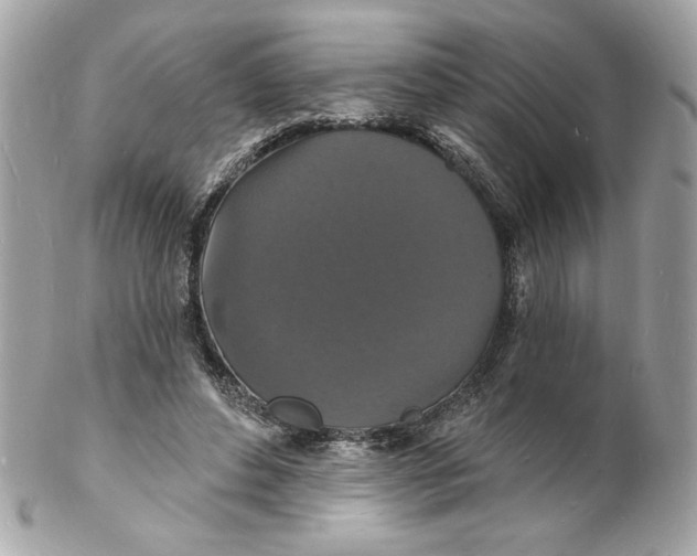 X0000102230496200808151733