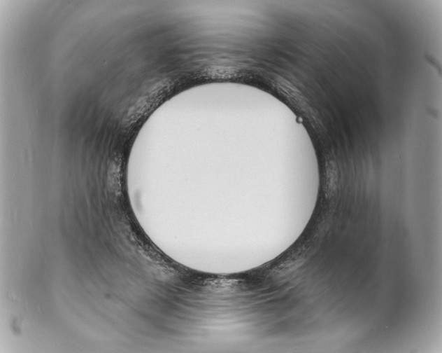X0000102230497200808151733