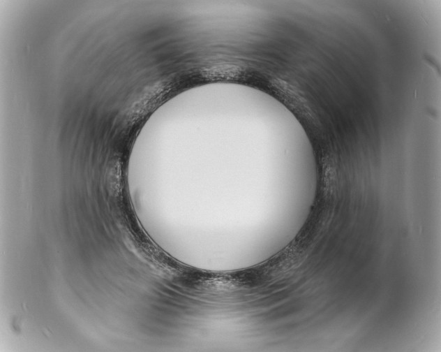 X0000102230498200808151733