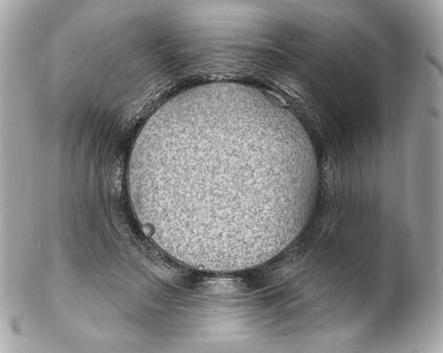 X0000102230499200808151733