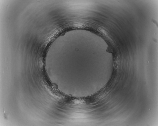 X0000102230500200808151733