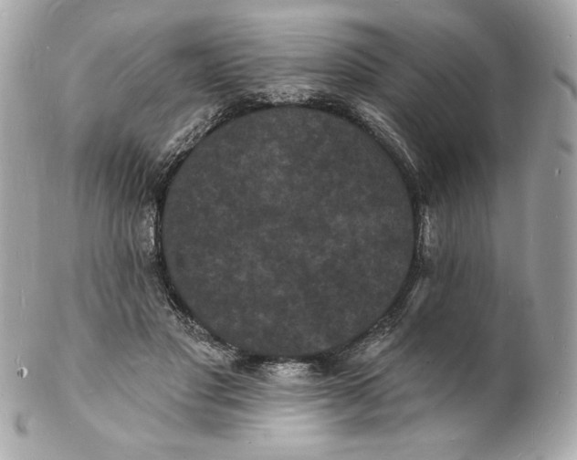X0000102230501200808151733