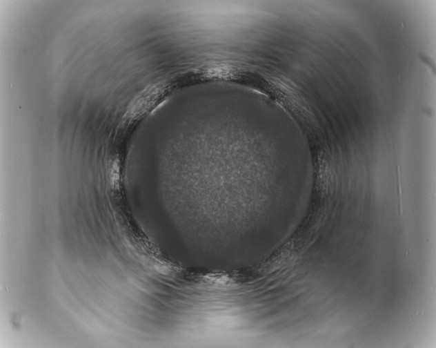 X0000102230502200808151733