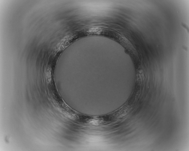 X0000102230504200808151733