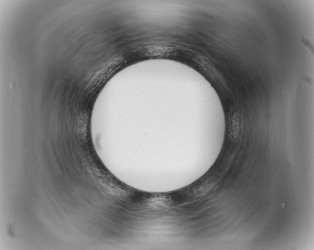 X0000102230505200808151733
