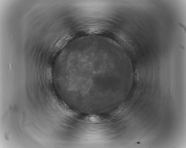 X0000102230506200808151733