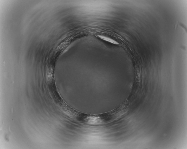 X0000102230507200808151733