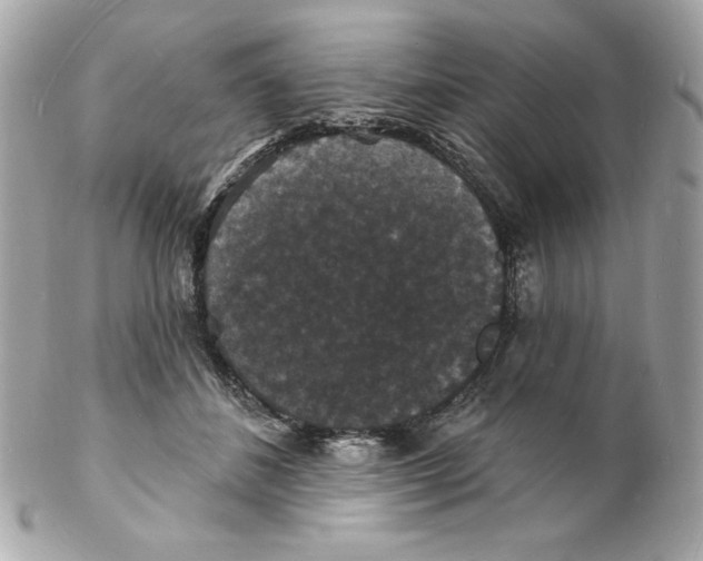 X0000102230508200808151733