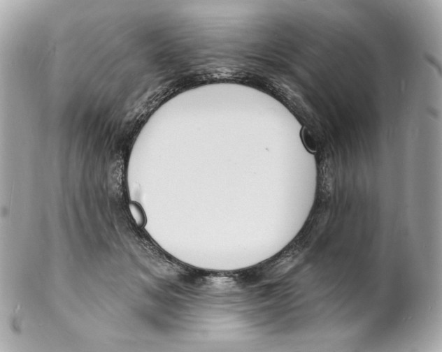 X0000102230509200808151733