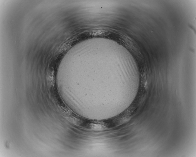 X0000102230510200808151733