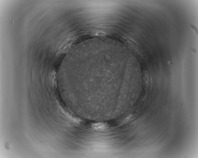 X0000102230511200808151733