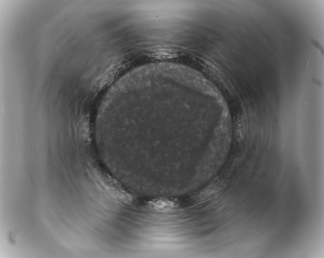 X0000102230512200808151733