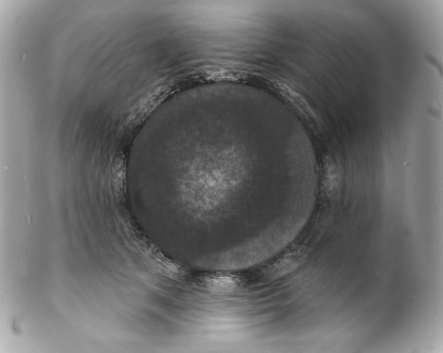 X0000102230513200808151733
