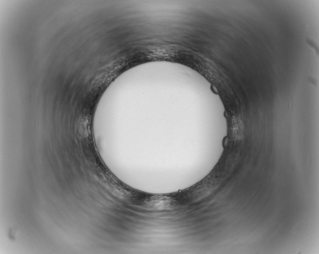 X0000102230514200808151733