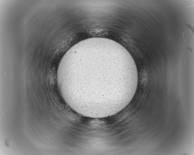 X0000102230515200808151733